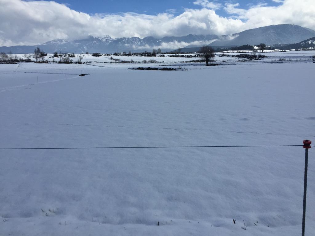 La Calma De Bellver Bellver De Cerdanya ภายนอก รูปภาพ
